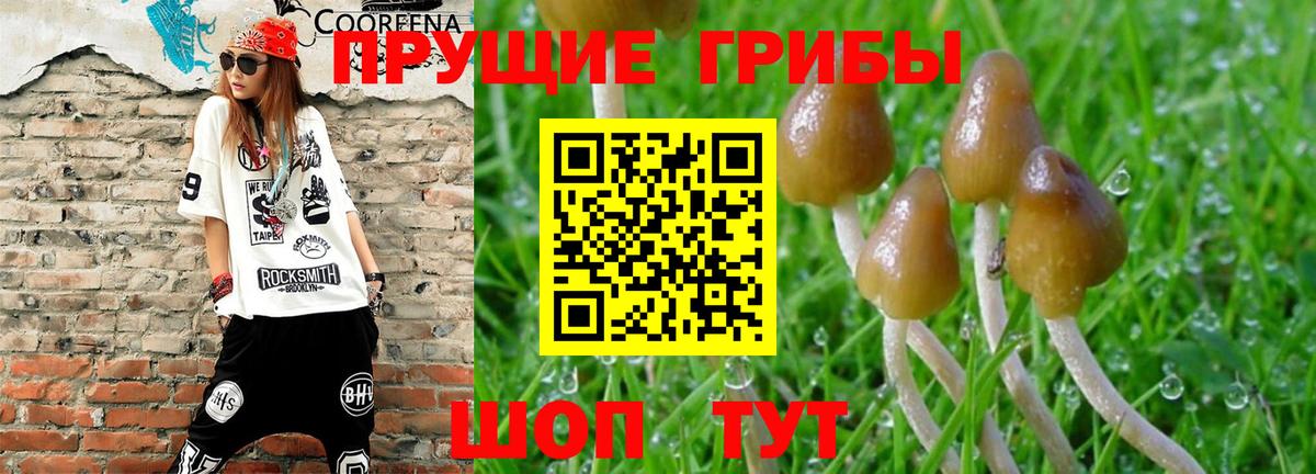 Псилоцибиновые грибы GOLDEN TEACHER  Вход с VPN  Нарьян-Мар 