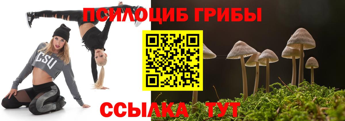 Псилоцибиновые грибы мицелий Нарьян-Мар